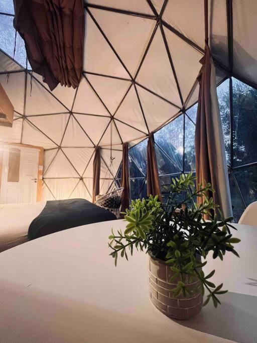 Magia Ecolodges, Glamping Punta Colorada Exterior foto