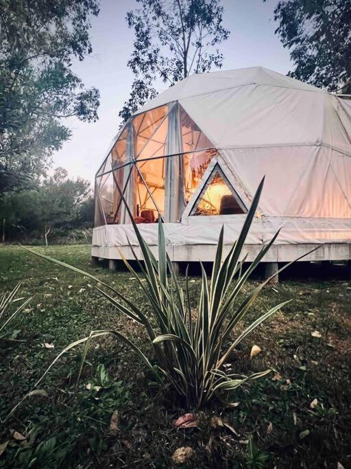 Magia Ecolodges, Glamping Punta Colorada Exterior foto